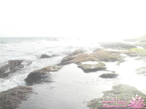 عکـــــــــــــــــس های گرفته شده در سفـــــــر